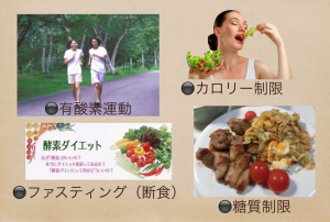 どれが一番痩せるの？　画像