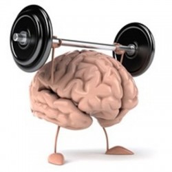 脳みそまで筋肉　脳ミソまで筋肉