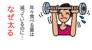 基礎代謝と筋肉量の関係