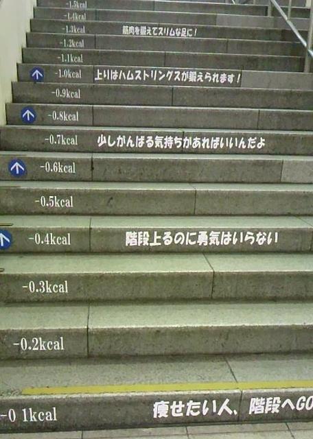 階段でカロリー30％消費増