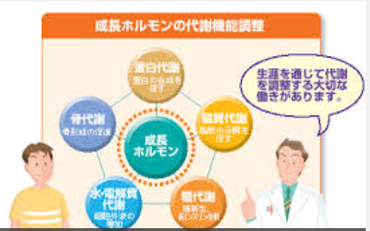 睡眠とダイエットの関連性
