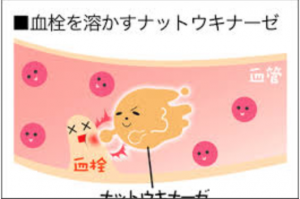 ナットウキナーゼ　画像