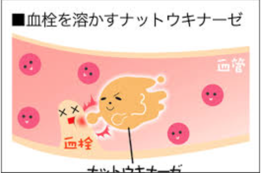 ナットウキナーゼ　画像