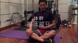 体幹　トレーニング　画像
