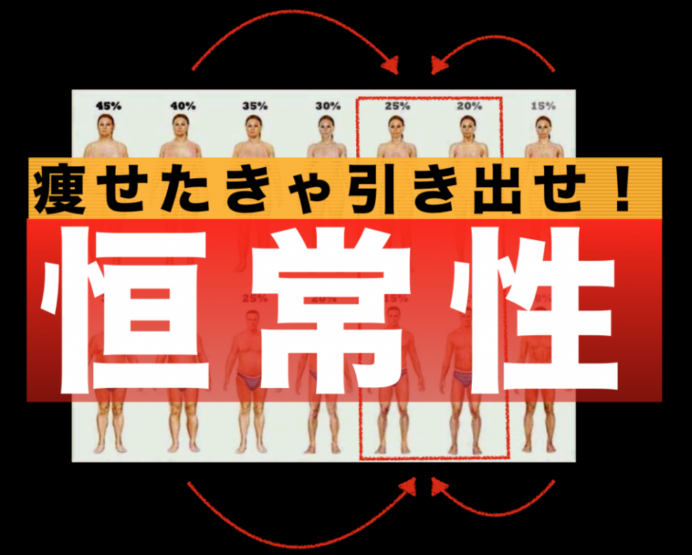 恒常性（痩せる前に知っておく事）