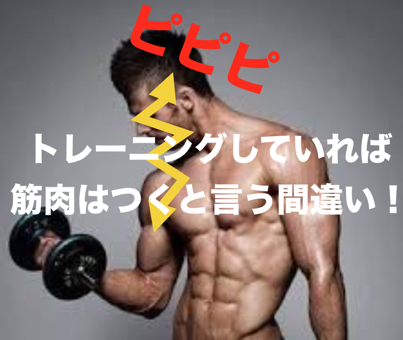 トレーニング前後の食事が筋発達をもたらす！？