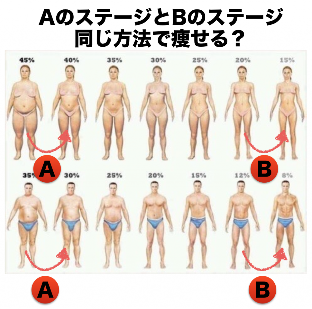 ステージ別ダイエット
