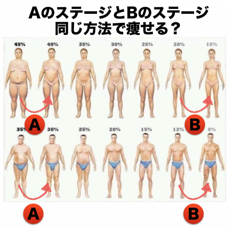 ステージで変わるダイエット法