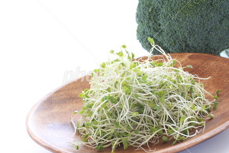 肝臓に栄養を①　野菜