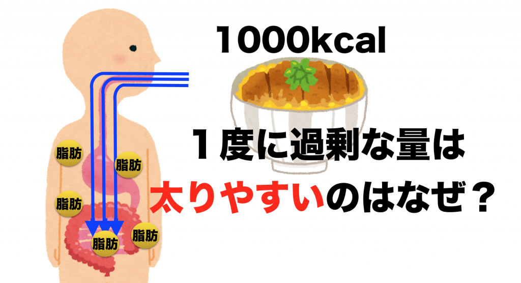 カロリー制限で痩せるとどうなるか？その１