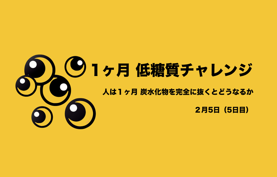 低糖質チャレンジ　５日目「満足ではなく納得する食事」