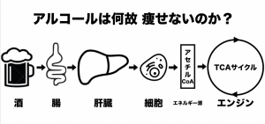 アルコールは太る