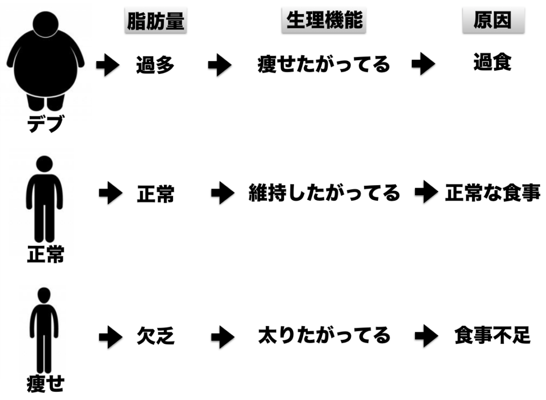 貴方の「体重が減らない」原因を切る！