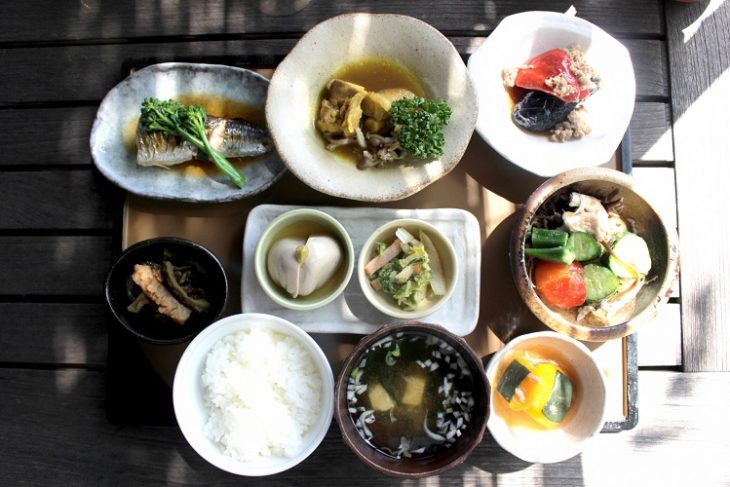 1分で学ぶダイエット講座No,13 「そもそも栄養って何？」
